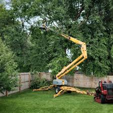 Lawn Edging in Centreville, VA